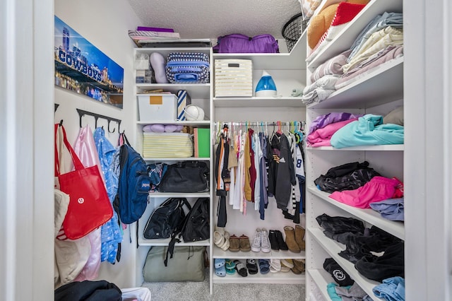 2940 Tiflawn Ct, Shakopee, MN 55379 - view of walk in closet