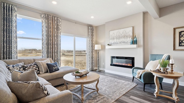 17038 Draper Way, Lakeville, MN 55044 - living room with a glass covered fireplace, recessed lighting, wood finished floors, and baseboards