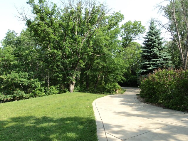 42 Eldorado Cir, Dellwood, MN 55110 - photo 6