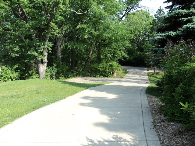 42 Eldorado Cir, Dellwood, MN 55110 - photo 7