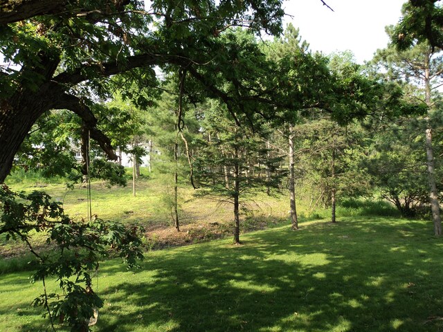 42 Eldorado Cir, Dellwood, MN 55110 - photo 10