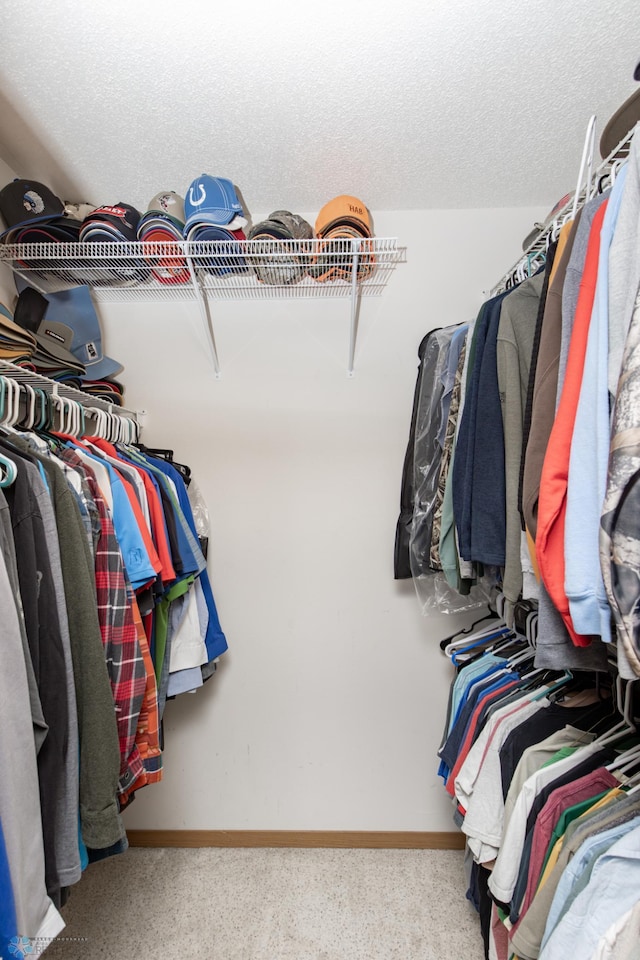 walk in closet featuring carpet flooring