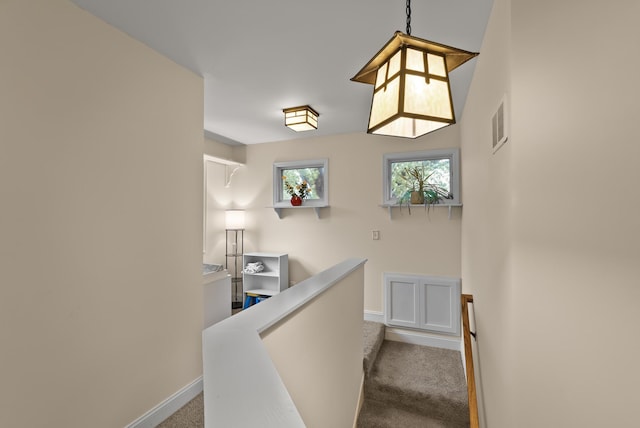4236 Salem Ave, Saint Louis Park, MN 55416 - staircase with carpet floors and baseboards