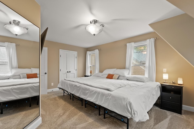 4236 Salem Ave, Saint Louis Park, MN 55416 - bedroom with light carpet, baseboards, and a closet