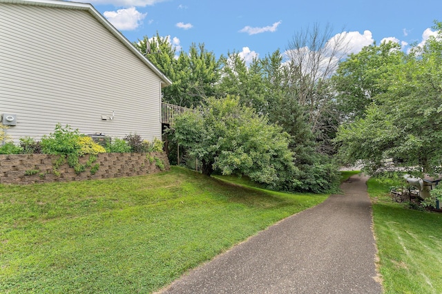 9013 91st St S, Cottage Grove, MN 55016 - view of grassy yard