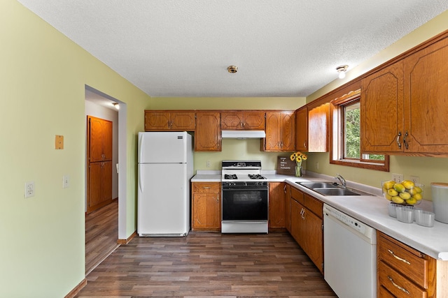 9013 91st St S, Cottage Grove, MN 55016 - kitchen with white appliances, under cabinet range hood, dark wood-style floors, brown cabinets, and a textured ceiling