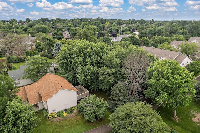 9013 91st St S, Cottage Grove, MN 55016 - drone / aerial view