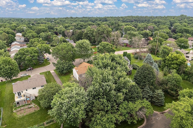 9013 91st St S, Cottage Grove, MN 55016 - aerial view