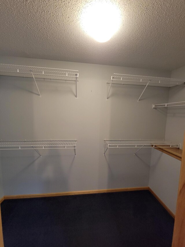 1605 26th St SE, Saint Cloud, MN 56304 - view of walk in closet