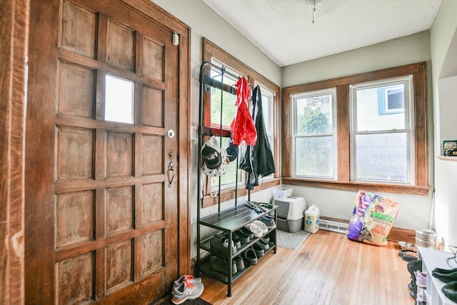 mudroom with hardwood / wood-style flooring