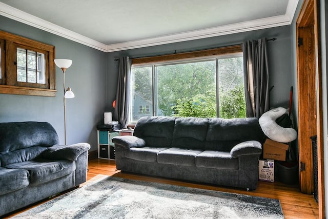 living room with wood finished floors and ornamental molding