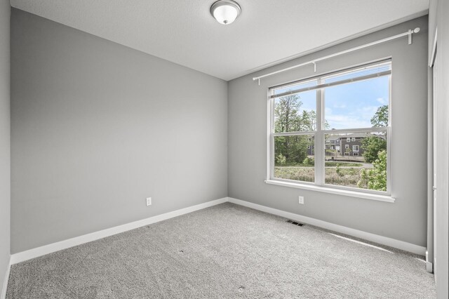 14313 Dallas Ln N, Dayton, MN 55327 - photo 13