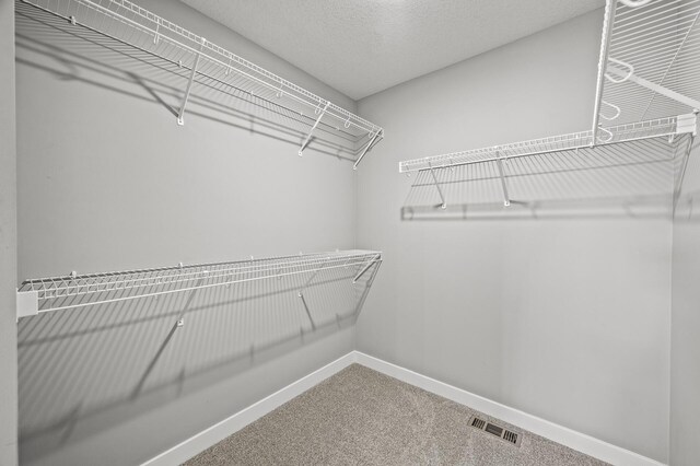 14313 Dallas Ln N, Dayton, MN 55327 - photo 24