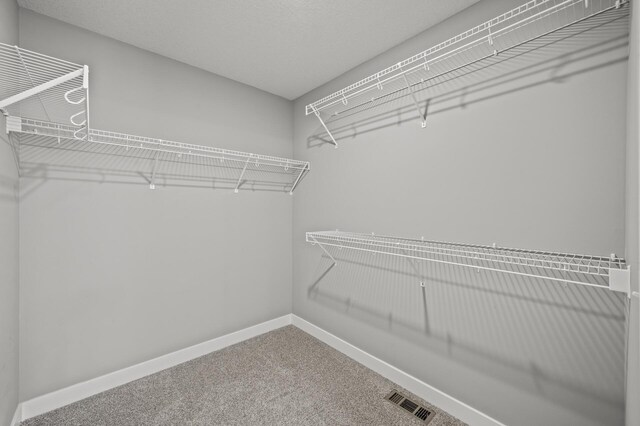 14313 Dallas Ln N, Dayton, MN 55327 - photo 25