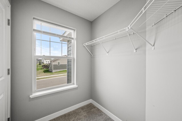 14313 Dallas Ln N, Dayton, MN 55327 - photo 30