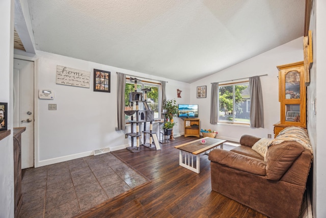 603 2nd Ave NW, Buffalo, MN 55313 - living room with wood finished floors, lofted ceiling, baseboards, and a textured ceiling