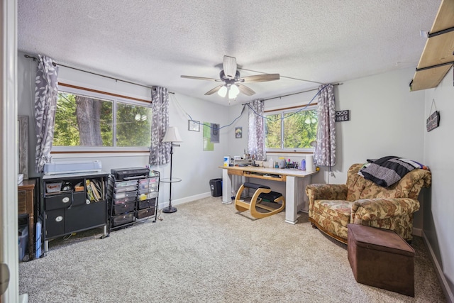 603 2nd Ave NW, Buffalo, MN 55313 - office with plenty of natural light, carpet flooring, ceiling fan, a textured ceiling, and baseboards