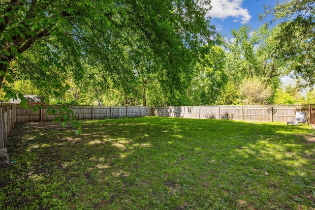 603 2nd Ave NW, Buffalo, MN 55313 - view of yard