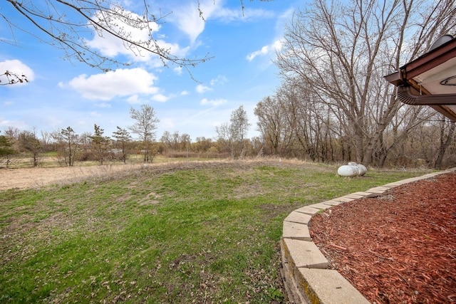 15701 209th Ave NW, Elk River, MN 55330 - photo 15