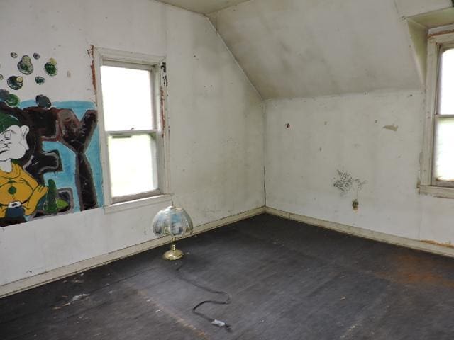 16166 Par Cir SW, Pine City Twp, MN 55063 - additional living space with vaulted ceiling