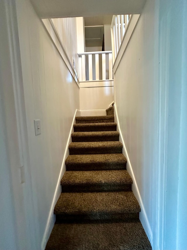 210 160th Ave, Osborne Twp, MN 56128 - stairway featuring baseboards and carpet flooring