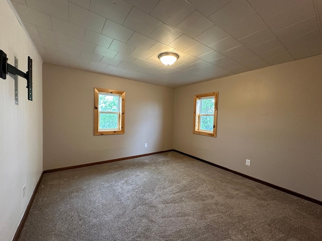 210 160th Ave, Osborne Twp, MN 56128 - carpeted spare room featuring baseboards and a barn door