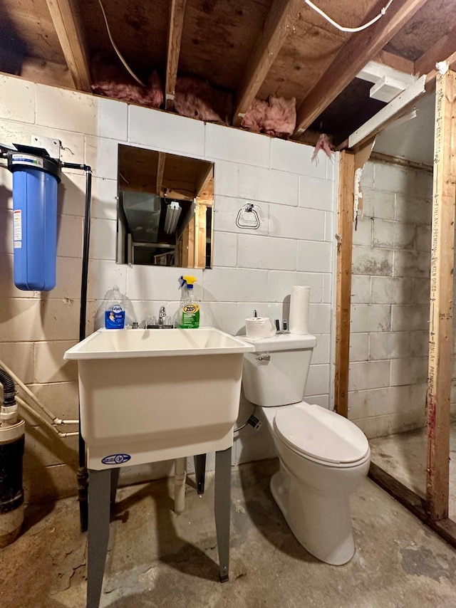 210 160th Ave, Osborne Twp, MN 56128 - bathroom featuring toilet and concrete floors