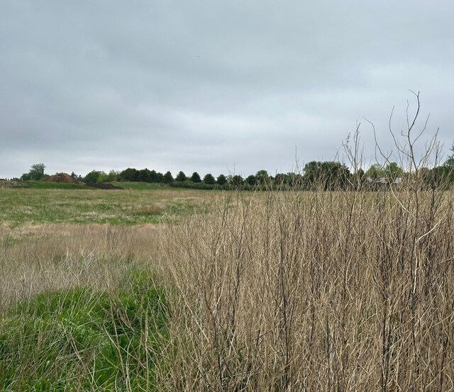 210 160th Ave, Osborne Twp, MN 56128 - view of local wilderness with rural landscape