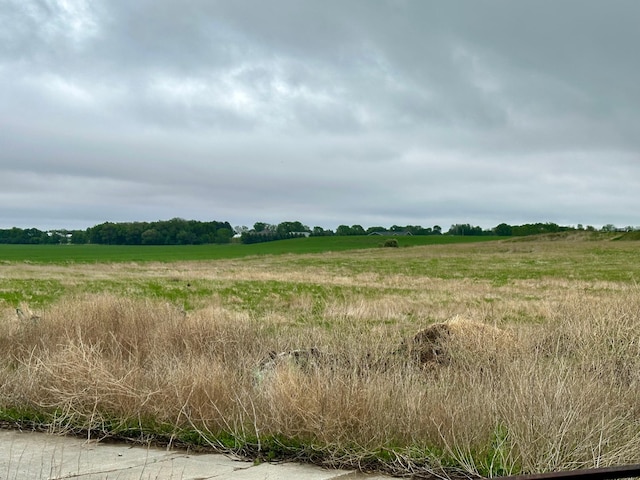 210 160th Ave, Osborne Twp, MN 56128 - view of local wilderness with rural landscape