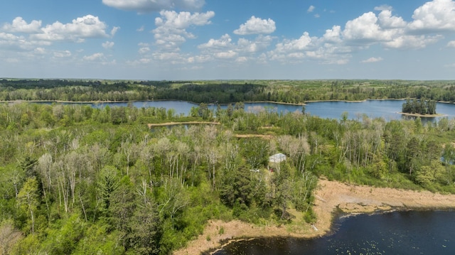 16504 280th St, Park Rapids, MN 56470 - aerial overview of property's location with a heavily wooded area and a large body of water