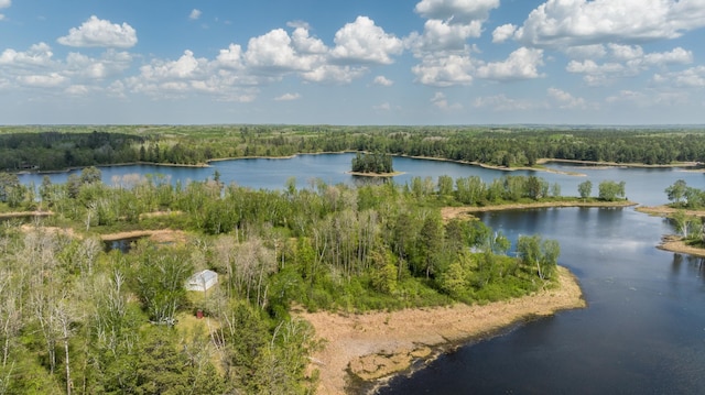 16504 280th St, Park Rapids, MN 56470 - water view featuring a heavily wooded area