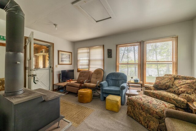 16504 280th St, Park Rapids, MN 56470 - view of carpeted living area