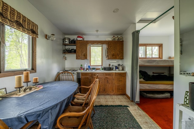 16504 280th St, Park Rapids, MN 56470 - kitchen featuring plenty of natural light, brown cabinets, light countertops, and open shelves