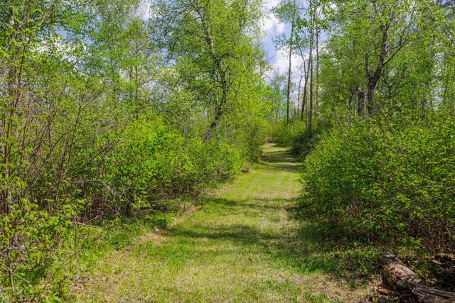 16504 280th St, Park Rapids, MN 56470 - view of woods