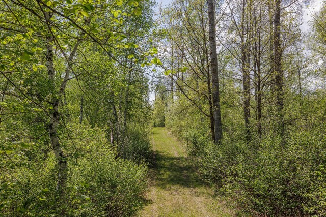 16504 280th St, Park Rapids, MN 56470 - view of tree filled area