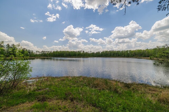 16504 280th St, Park Rapids, MN 56470 - water view with a heavily wooded area