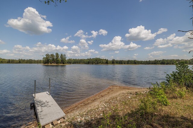 16504 280th St, Park Rapids, MN 56470 - water view featuring a dock