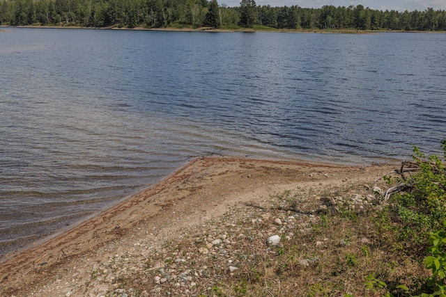 16504 280th St, Park Rapids, MN 56470 - water view with a forest