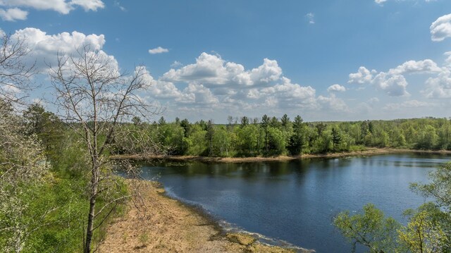 16504 280th St, Park Rapids, MN 56470 - water view with a heavily wooded area