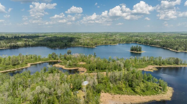 16504 280th St, Park Rapids, MN 56470 - aerial view of a forest and a large body of water