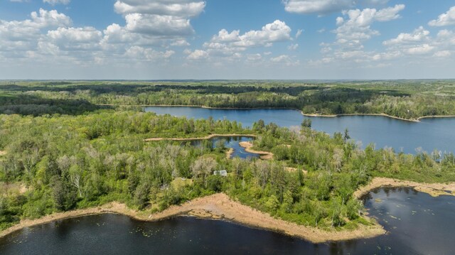 16504 280th St, Park Rapids, MN 56470 - aerial overview of property's location featuring a forest and a nearby body of water