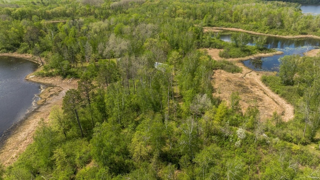16504 280th St, Park Rapids, MN 56470 - drone / aerial view of a forest and a nearby body of water