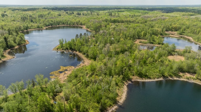 16504 280th St, Park Rapids, MN 56470 - view of property location with a heavily wooded area and a nearby body of water