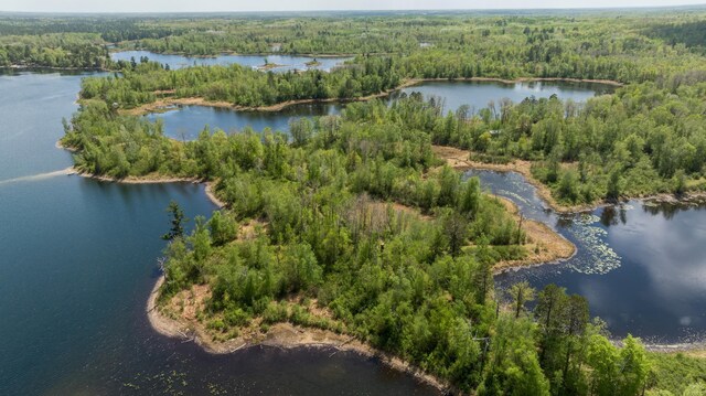 16504 280th St, Park Rapids, MN 56470 - drone / aerial view of a heavily wooded area and a large body of water