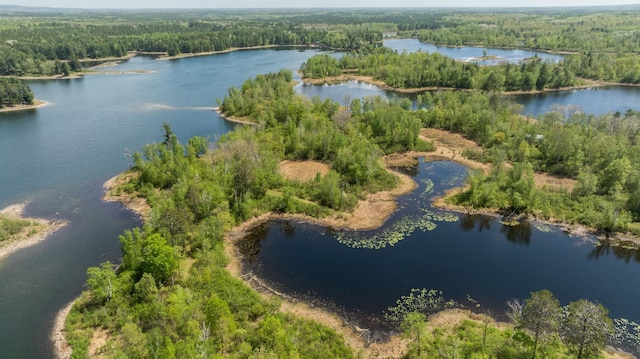 16504 280th St, Park Rapids, MN 56470 - aerial view of a forest and a large body of water