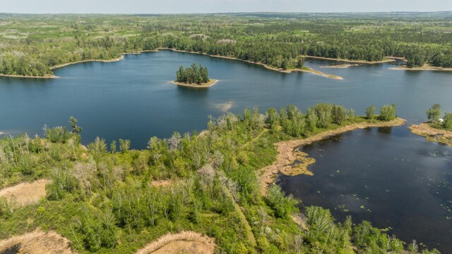16504 280th St, Park Rapids, MN 56470 - bird's eye view of a heavily wooded area and a large body of water