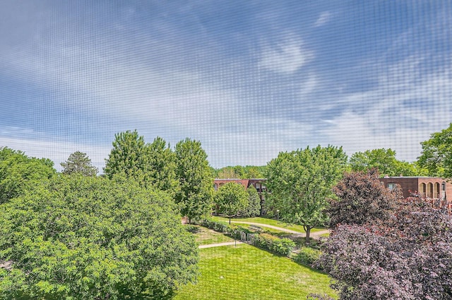 255 Westview Dr Unit 305, West Saint Paul, MN 55118 - view of green lawn