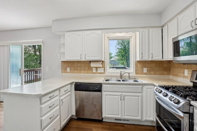 1650 132nd Ave NW, Coon Rapids, MN 55448 - kitchen with appliances with stainless steel finishes, a sink, a peninsula, and healthy amount of natural light