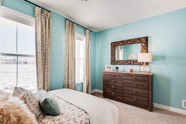23683 Ashbury Dr, Rogers, MN 55374 - bedroom with baseboards and light carpet
