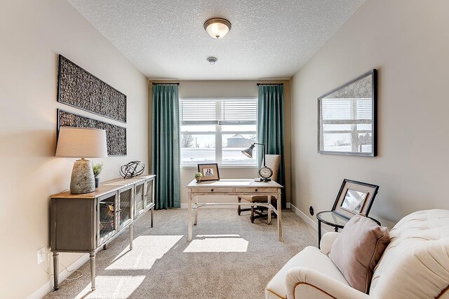 23683 Ashbury Dr, Rogers, MN 55374 - office space featuring carpet floors, a textured ceiling, and baseboards
